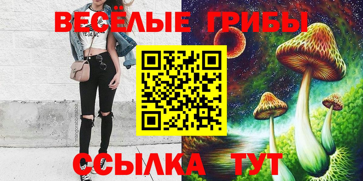 Серов  Галлюциногенные грибы Psilocybine cubensis  Вход с VPN  Псилоцибиновые грибы MAGIC MUSHROOMS 