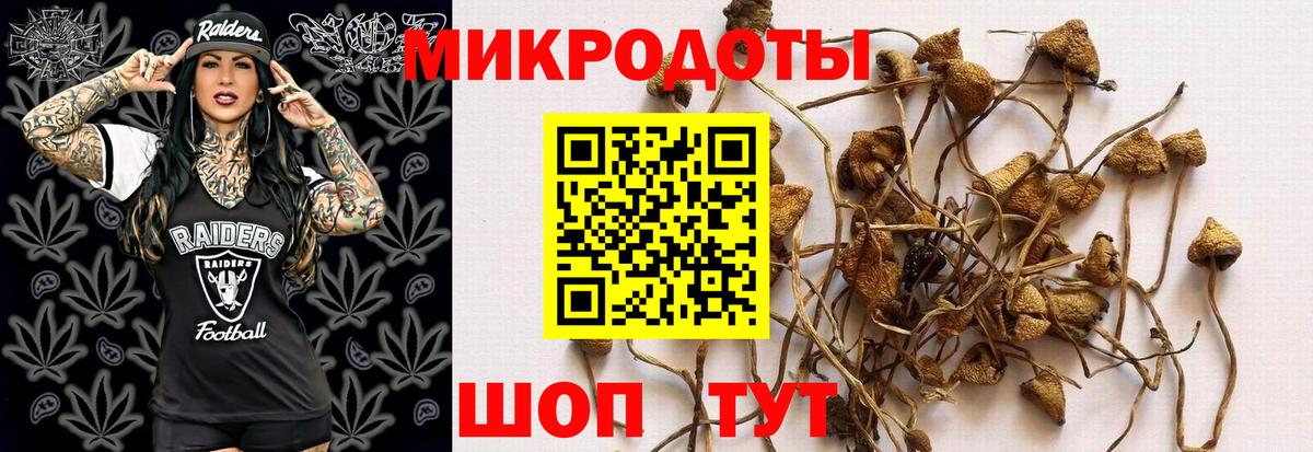 Псилоцибиновые грибы мухоморы Серов